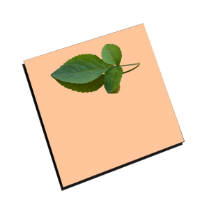 Stainless steel mirror - BD-05