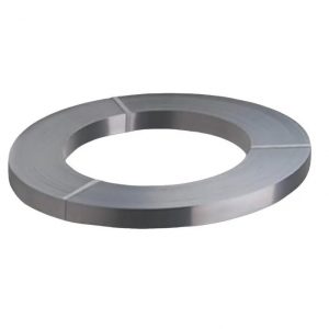 Precision Stainless Steel Strip