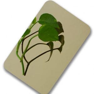 Golden mirror finish stainless steel sheet – bright yellow-gold reflective metal panel